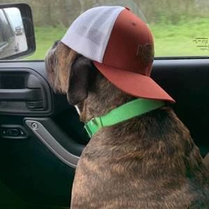 Meet your Posher, Garrett